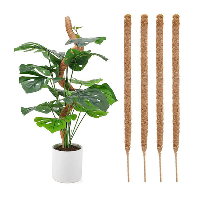 Kokosnuss-Kohl-Stick, benutzerdefinierte Größe, Kokosnuss-Totem-Stielmatte für Pflanzen Wachstum Klettern