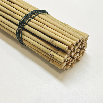 Bambus-Polen Dia.0.8cm x 100cm Eco freundliche dekorative rohe Länge