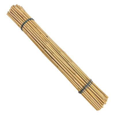 Bambus-Polen Dia.0.8cm x 100cm Eco freundliche dekorative rohe Länge