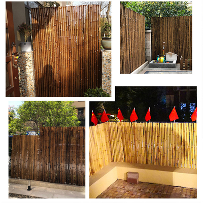 Natürlicher Bambusrohstoff-Garten, der Platten mit 180cm 240cm Länge einzäunt