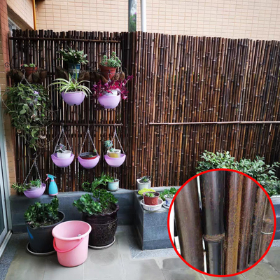 Natürlicher Bambusrohstoff-Garten, der Platten mit 180cm 240cm Länge einzäunt