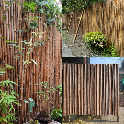 Natürlicher Bambusrohstoff-Garten, der Platten mit 180cm 240cm Länge einzäunt