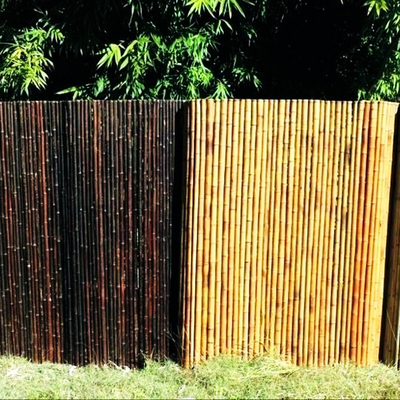 Natürlicher Bambusrohstoff-Garten, der Platten mit 180cm 240cm Länge einzäunt