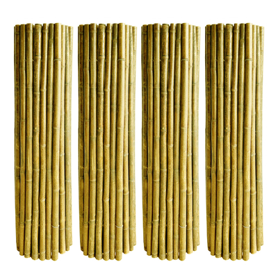 Natürlicher Bambus-Pole Bambusprivatleben-Zaun For Garden Tonkin 240 cm-Hoch