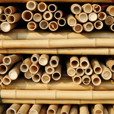 Starker Bambusstang   Perfekt für DIY-Projekte, Stützen und Dekorationen