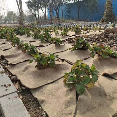 Natürliche Jute-Pflanzenmatte Umweltschutzmittel für Pflanzen in Töpfen, Gartendekor, Keimung von Samen